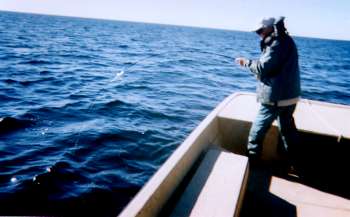 fly fishing in eastern NC