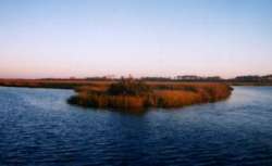 hunting blind in the marsh